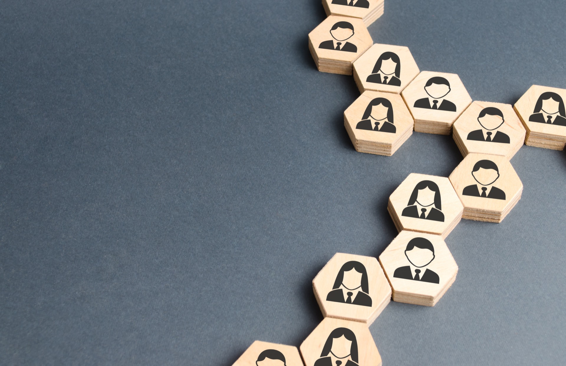Hexagonal blocks with people icons forming a connected network